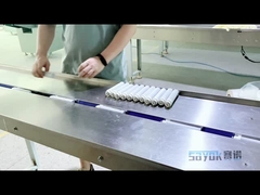 Máquina de empacotamento horizontal automática 220v do fluxo do cartucho da purificação