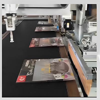 Máquina de vedação automática de bolsas pré-fabricadas de PE com recurso opcional de rotulagem